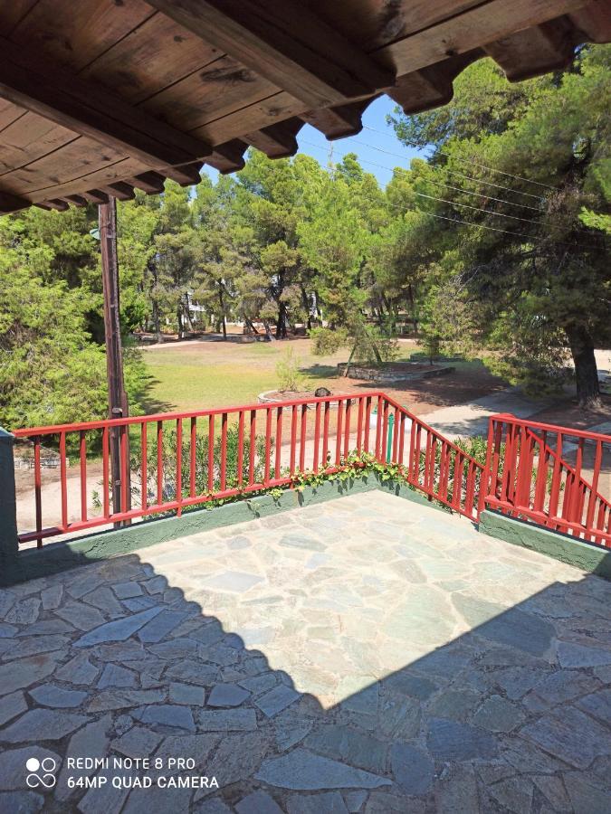 מטהמורפוסי Squirrels, Home With View מראה חיצוני תמונה