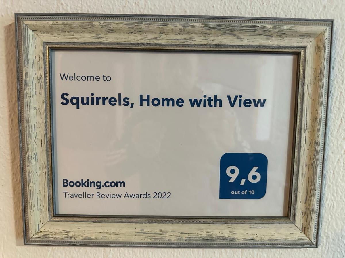 מטהמורפוסי Squirrels, Home With View מראה חיצוני תמונה
