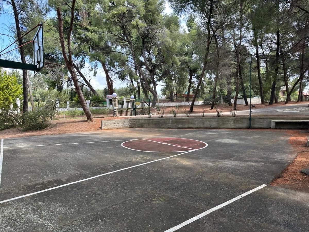מטהמורפוסי Squirrels, Home With View מראה חיצוני תמונה
