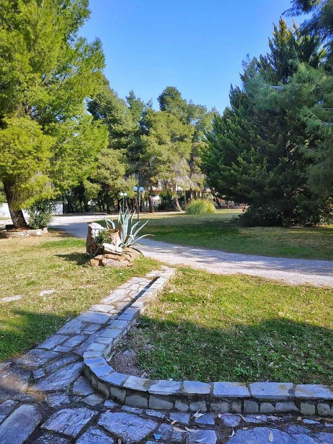 מטהמורפוסי Squirrels, Home With View מראה חיצוני תמונה